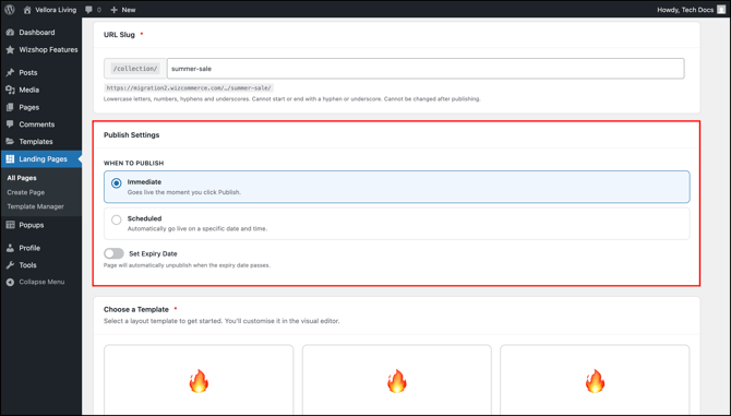 Publish setting